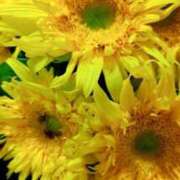 ヒメ日記 2025/08/01 11:26 投稿 千里(ちさと) PLUS梅田店