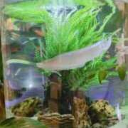 ヒメ日記 2025/08/07 22:22 投稿 千里(ちさと) PLUS梅田店