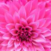 ヒメ日記 2025/09/25 09:22 投稿 千里(ちさと) PLUS梅田店