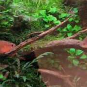 ヒメ日記 2025/10/04 16:12 投稿 千里(ちさと) PLUS梅田店