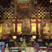 ヒメ日記 2025/10/05 10:22 投稿 千里(ちさと) PLUS梅田店