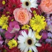 ヒメ日記 2025/10/09 07:56 投稿 千里(ちさと) PLUS梅田店