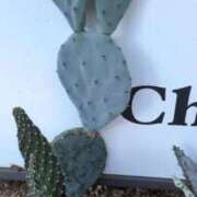 ヒメ日記 2025/10/09 10:55 投稿 千里(ちさと) PLUS梅田店