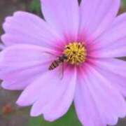 ヒメ日記 2025/10/16 17:56 投稿 千里(ちさと) PLUS梅田店