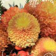 ヒメ日記 2025/10/29 12:42 投稿 千里(ちさと) PLUS梅田店