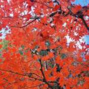 ヒメ日記 2025/11/03 08:02 投稿 千里(ちさと) PLUS梅田店