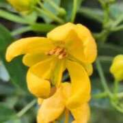 ヒメ日記 2025/11/12 06:52 投稿 千里(ちさと) PLUS梅田店