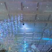 ヒメ日記 2025/11/21 23:32 投稿 千里(ちさと) PLUS梅田店