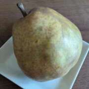 ヒメ日記 2025/11/23 11:52 投稿 千里(ちさと) PLUS梅田店