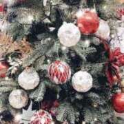 ヒメ日記 2025/11/24 00:47 投稿 千里(ちさと) PLUS梅田店