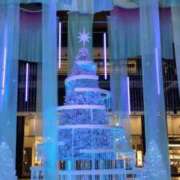 ヒメ日記 2025/11/24 12:02 投稿 千里(ちさと) PLUS梅田店