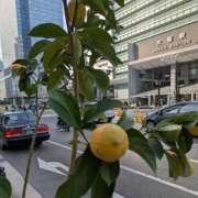 ヒメ日記 2025/12/01 22:12 投稿 千里(ちさと) PLUS梅田店