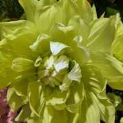 ヒメ日記 2025/12/05 13:22 投稿 千里(ちさと) PLUS梅田店