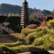 ヒメ日記 2025/12/07 10:31 投稿 千里(ちさと) PLUS梅田店