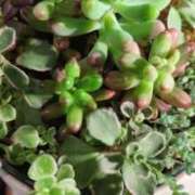 ヒメ日記 2025/12/18 14:25 投稿 千里(ちさと) PLUS梅田店