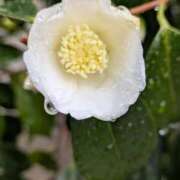 ヒメ日記 2025/12/21 11:25 投稿 千里(ちさと) PLUS梅田店