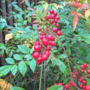 ヒメ日記 2025/12/22 08:42 投稿 千里(ちさと) PLUS梅田店