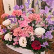 ヒメ日記 2026/01/15 01:22 投稿 千里(ちさと) PLUS梅田店