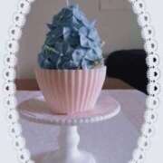 ヒメ日記 2026/01/19 02:02 投稿 千里(ちさと) PLUS梅田店