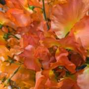 ヒメ日記 2026/01/19 19:52 投稿 千里(ちさと) PLUS梅田店