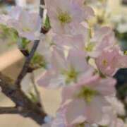 ヒメ日記 2026/01/20 20:32 投稿 千里(ちさと) PLUS梅田店