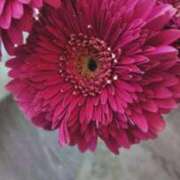 ヒメ日記 2026/01/25 09:32 投稿 千里(ちさと) PLUS梅田店