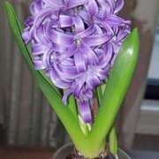 ヒメ日記 2026/01/31 14:13 投稿 千里(ちさと) PLUS梅田店