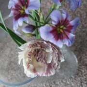 ヒメ日記 2026/02/01 07:22 投稿 千里(ちさと) PLUS梅田店