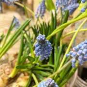 ヒメ日記 2026/02/04 12:02 投稿 千里(ちさと) PLUS梅田店