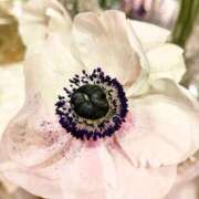 ヒメ日記 2026/02/21 21:22 投稿 千里(ちさと) PLUS梅田店