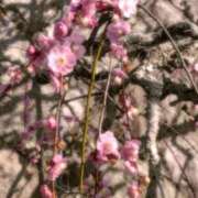 ヒメ日記 2026/03/01 14:12 投稿 千里(ちさと) PLUS梅田店