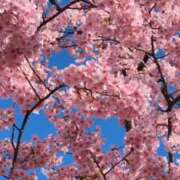 ヒメ日記 2026/03/08 17:12 投稿 千里(ちさと) PLUS梅田店