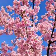 ヒメ日記 2026/03/09 01:02 投稿 千里(ちさと) PLUS梅田店