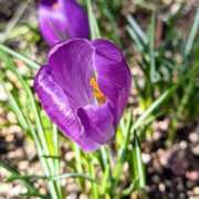 ヒメ日記 2026/03/09 10:42 投稿 千里(ちさと) PLUS梅田店