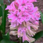 ヒメ日記 2026/03/13 12:42 投稿 千里(ちさと) PLUS梅田店