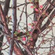 ヒメ日記 2026/03/16 14:02 投稿 千里(ちさと) PLUS梅田店