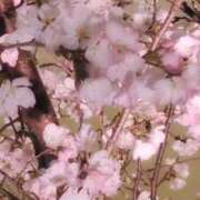 ヒメ日記 2026/03/18 18:42 投稿 千里(ちさと) PLUS梅田店