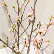 ヒメ日記 2026/03/20 08:42 投稿 千里(ちさと) PLUS梅田店