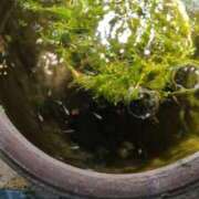 ヒメ日記 2026/03/21 07:12 投稿 千里(ちさと) PLUS梅田店