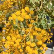 ヒメ日記 2026/03/23 08:22 投稿 千里(ちさと) PLUS梅田店