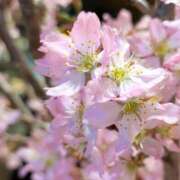 ヒメ日記 2026/03/24 12:02 投稿 千里(ちさと) PLUS梅田店