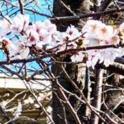 ヒメ日記 2026/03/27 10:22 投稿 千里(ちさと) PLUS梅田店