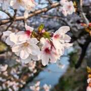 ヒメ日記 2026/03/29 08:12 投稿 千里(ちさと) PLUS梅田店