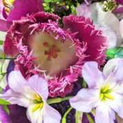 ヒメ日記 2026/04/01 00:20 投稿 千里(ちさと) PLUS梅田店