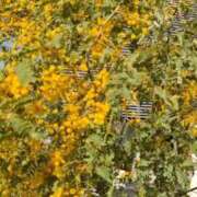 ヒメ日記 2026/04/02 09:00 投稿 千里(ちさと) PLUS梅田店