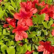 ヒメ日記 2026/04/04 00:42 投稿 千里(ちさと) PLUS梅田店