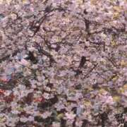 ヒメ日記 2026/04/12 11:15 投稿 千里(ちさと) PLUS梅田店