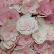 ヒメ日記 2026/05/07 08:12 投稿 千里(ちさと) PLUS梅田店