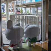 ヒメ日記 2026/05/14 23:42 投稿 千里(ちさと) PLUS梅田店