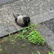 ヒメ日記 2025/09/10 21:52 投稿 まき Second Love（セカンドラブ）